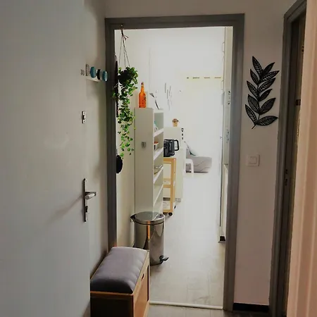 Apartment Furtunatu Climatise - Vue Degagee - 30 Min D'ajaccio