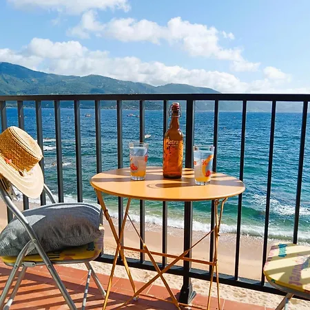 Furtunatu Climatise - Vue Degagee - 30 Min D'ajaccio Apartment